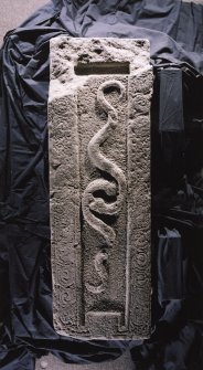 Strathmartine no 2 recumbent graveslab. View showing two serpents and spiral border decoration