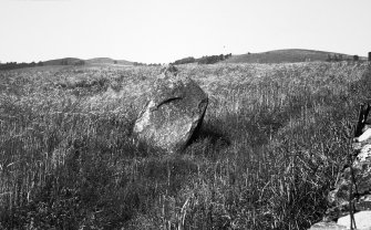 General view of Caldhame Standing Stone.