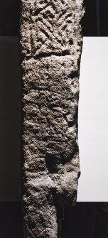 Edge of cast of cross-slab fragment, Kirriemuir no.4, showing possible ogam inscription.
Cast of stone at Pictavia, Brechin.