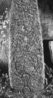 General view of Pictish stone bearing, from the top, a double-disc and Z-rod, a 'beast', and a mirror.