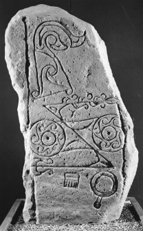 View of symbol stone, in the Meffan Institute, Forfar.