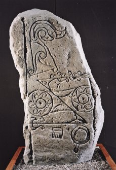 View of symbol stone, in the Meffan Institute, Forfar.