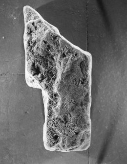 Reverse of fragment of sculptured stone from the foreshore, Inchcape Park, Arbroath, showing possible traces of cross.