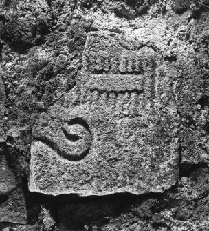 General view of Pictish stone bearing a double-sided comb symbol and possibly the round butt of a mirror handle.