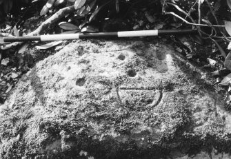 Cupmarked boulder reused as a boundary stone