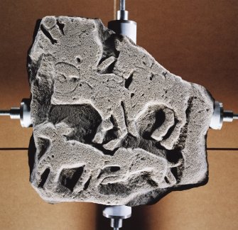 Reverse of cross-slab fragment (no.3), showing hunting scene. On display at Pictavia, Brechin.