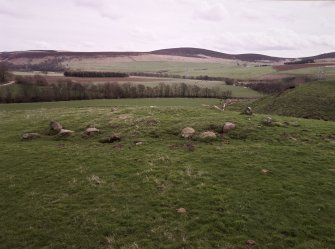 View from NW
