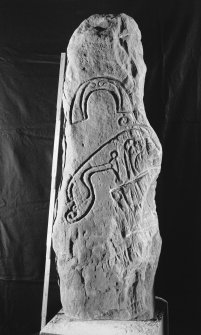Flemington, Aberlemno, Pictish symbol stone, displaying horseshoe above Pictish beast symbol (with scale)