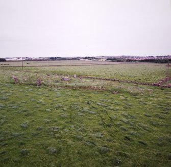 View of the Recumbent Stone Circle and the Enclosure to its S from the SW