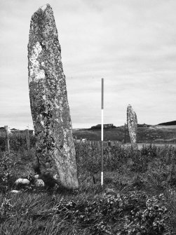 Colonsay, Lower Kilchattan, 'Fingal's Limpet Hammers', view from SE of standing stones.