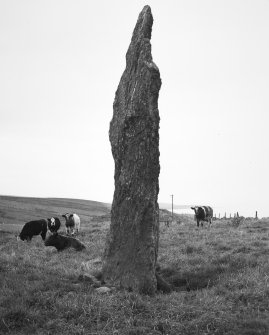 Standing stone from NNW