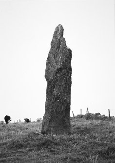 Standing stone from N