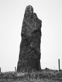 Standing stone from E