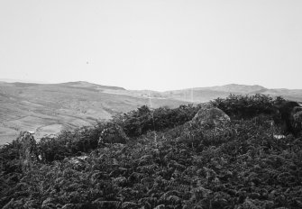 Gort na h-Ulaidhe. S of facade from NE.