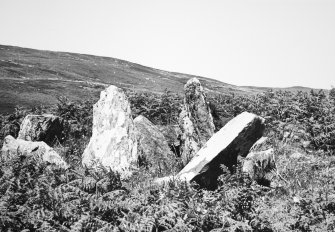 Gort na h-Ulaidhe. 1st transverse cist from SW.