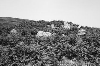 Gort na h-Ulaidhe. 2nd transverse cist from W.