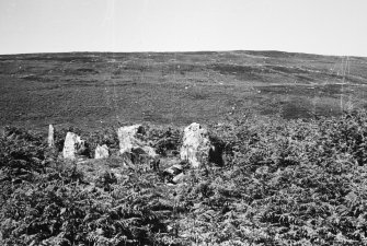 Gort na h-Ulaidhe. 2nd transverse cist from SSW.