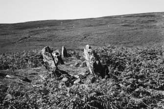 Gort na h-Ulaidhe. 2nd transverse cist from S.