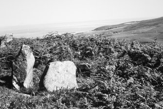 Gort na h-Ulaidhe. 3rd tranverse cist from NW.