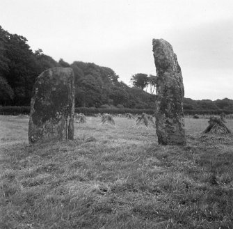 Carse, Standing Stones. General view.