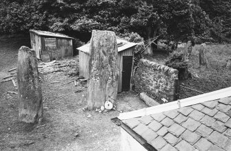 Footprint, Finlaggan, Islay.
View of alleged footprint on reverse of West Highland Stone.