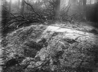 Cup and ring marked rock.