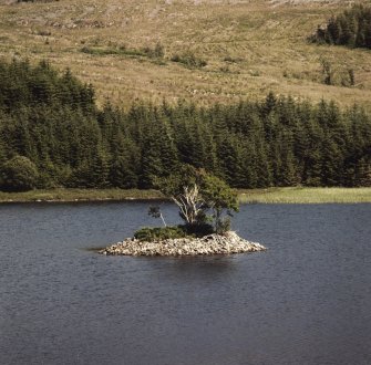 Loch Leathan, Crannog.
General view from West.