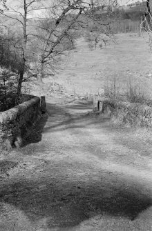 View of approach road onto Carloonan Bridge, Inveraray Castle Estate.