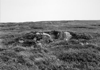 General view from S (blurred)