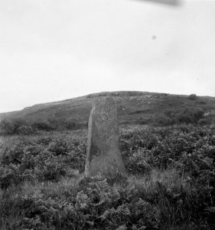 Standing stone, Lower Stillaig.