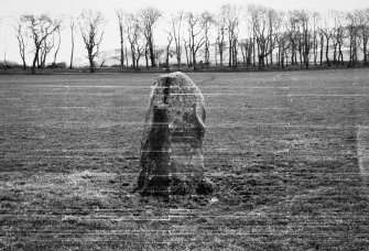 General view of standing stone, taken from the SW.