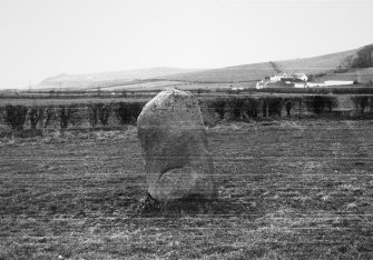 General view of standing stone, taken from the NE.