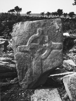 Bute, Inchmarnock, Remains of Chapel.
Early christian cross-slab TB4, no.8, in situ.