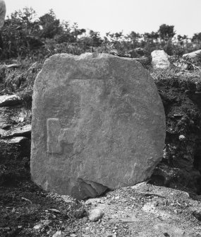 Bute, Inchmarnock, Remains of Chapel.
Fragment of early christian cross-slab. TB7, no.7, in situ.