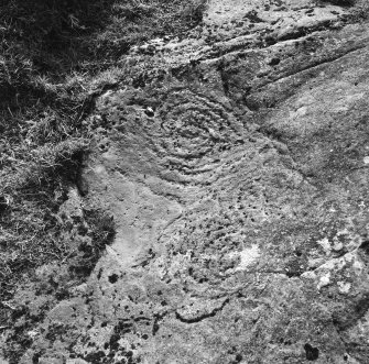 Detail of spirals on S side of stone.	