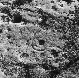 Detail of cup and rings.