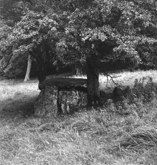 Haylee [Haylie] Megalithic Cist.