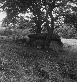 Haylee [Haylie] Megalithic Cist.