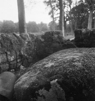 General view of Wallace's Stone.