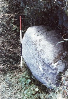 (Scale in feet)