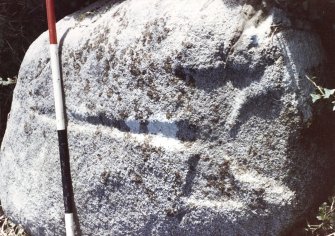 Cross detail (Scale in feet)