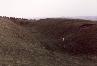 Barnwell earthwork, view of S ditch from E.