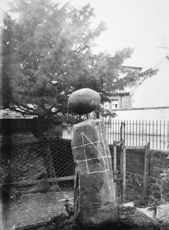 Site photograph : standing stone.