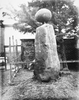 Site photograph : standing stone