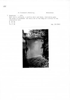Notes and photographs relating to gravestones in St Triduana's Churchyard, Edinburgh, Midlothian.
