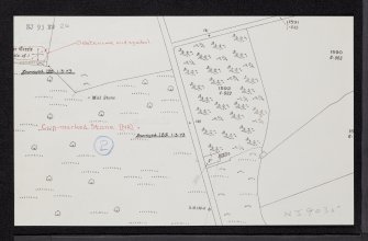 Wood Of Schivas, NJ93NW 26, Ordnance Survey index card, Recto