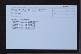 Balhary, NO24NE 46, Ordnance Survey index card, Recto