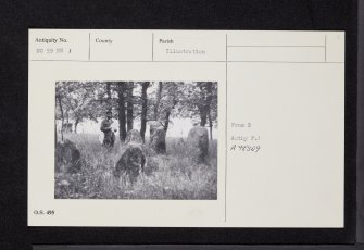 Image Wood, NO59NW 1, Ordnance Survey index card, Recto