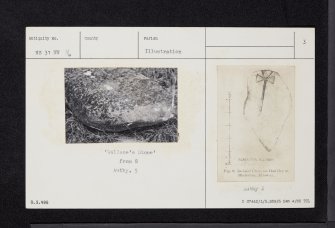 Wallace's Stone, NS31NW 16, Ordnance Survey index card, page number 3, Recto