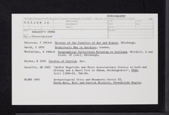 Wallace's Stone, NS31NW 16, Ordnance Survey index card, Recto